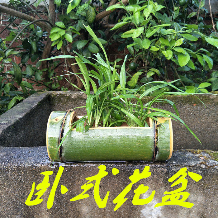 Wall-mounted bamboo flowerpots individuality retro creative hand eco-friendly hanging multi-meat flowerpots bamboo-pot flower pot potted diy