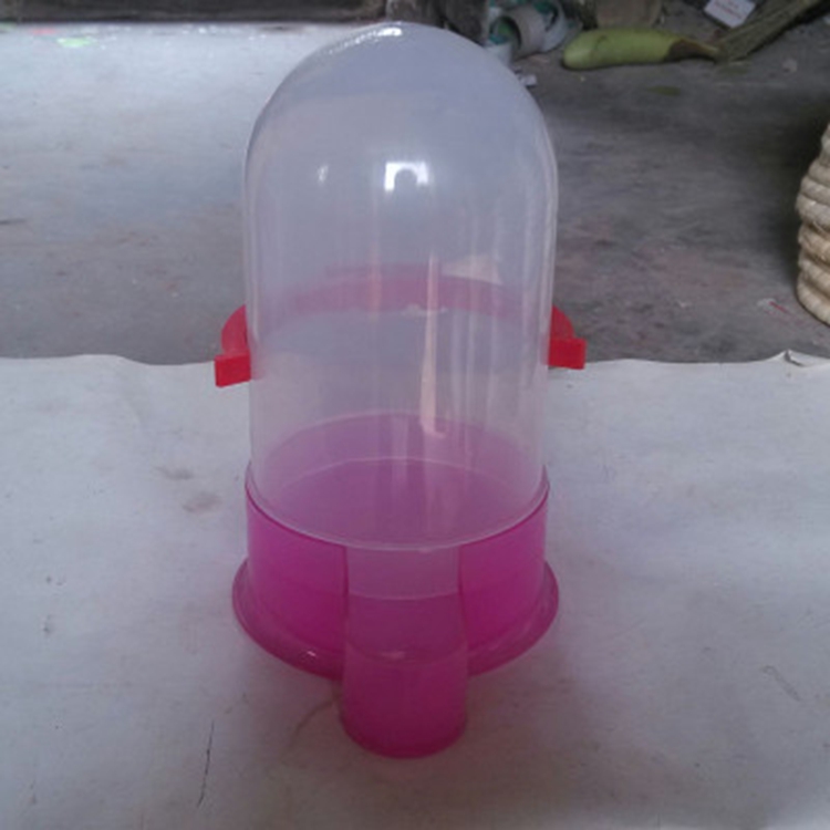 Starling Parrot Pigeon Uống nước Chai tự động Rò rỉ nước Ăn Sử dụng kép Bird Groove Letter Dove Nguồn cung cấp - Chim & Chăm sóc chim Supplies Cám trứng