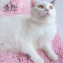 Dog towel pet Absorbent Towel Dog Bath Towels Bath Towels Big kitty towel bath towels super absorbent