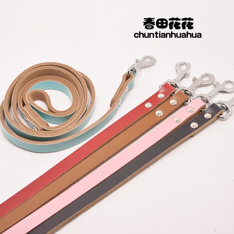 Dog traction rope golden retriever husky teddy bear schnauzer walking dog rope dog chain supplies single traction