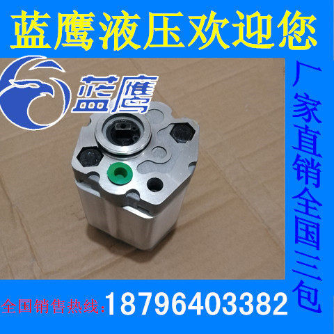 Pompe à Engrenages Hydraulique CBT-F202.1/201.1/F201.6/203.2/F203.7/204