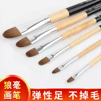 Tiso painting materials Special offer Wolf brush watercolor pen set with pen box Oil painting pen Gouache brush art color painting