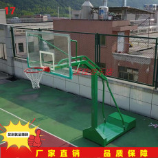 баскетбольный инвентарь 篮球架青少年儿童室外家用投篮可升降移动成人标准篮球筐投篮架 OTHER