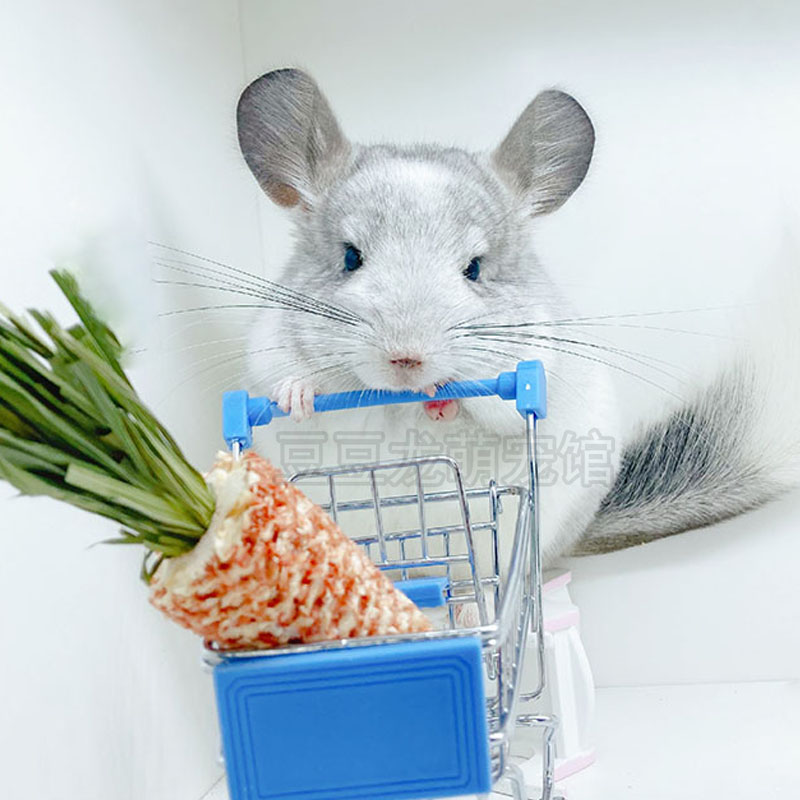 Dragon cat plush paparazzi toy small silver spotted grey professional pink white purple grey dragon cat baby living things birthday present