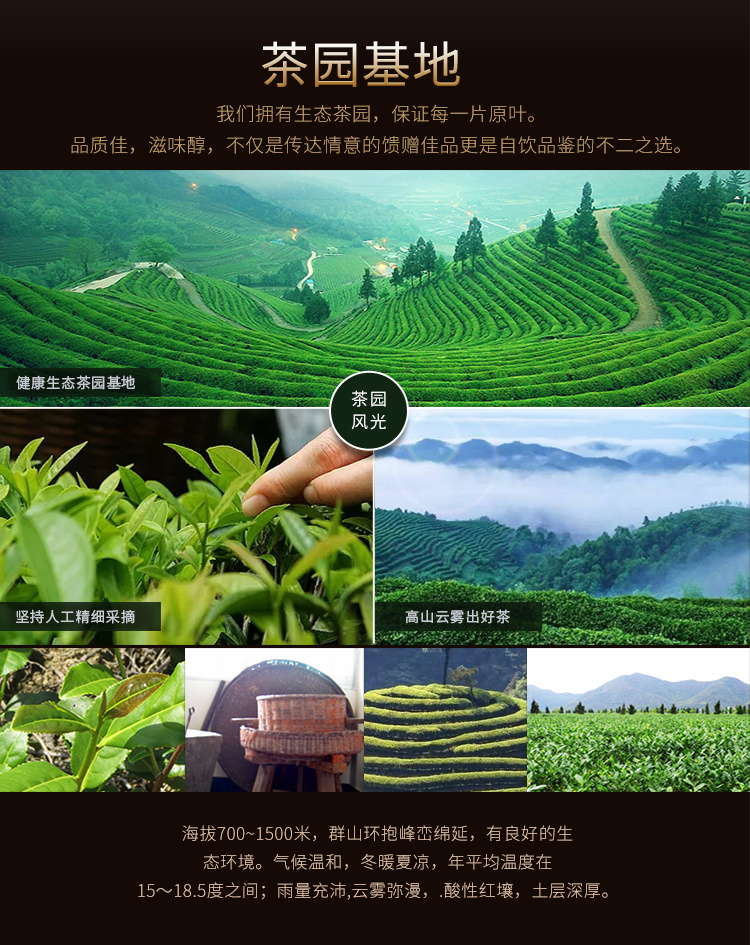 2022新茶特级大红袍茶叶礼盒装500g