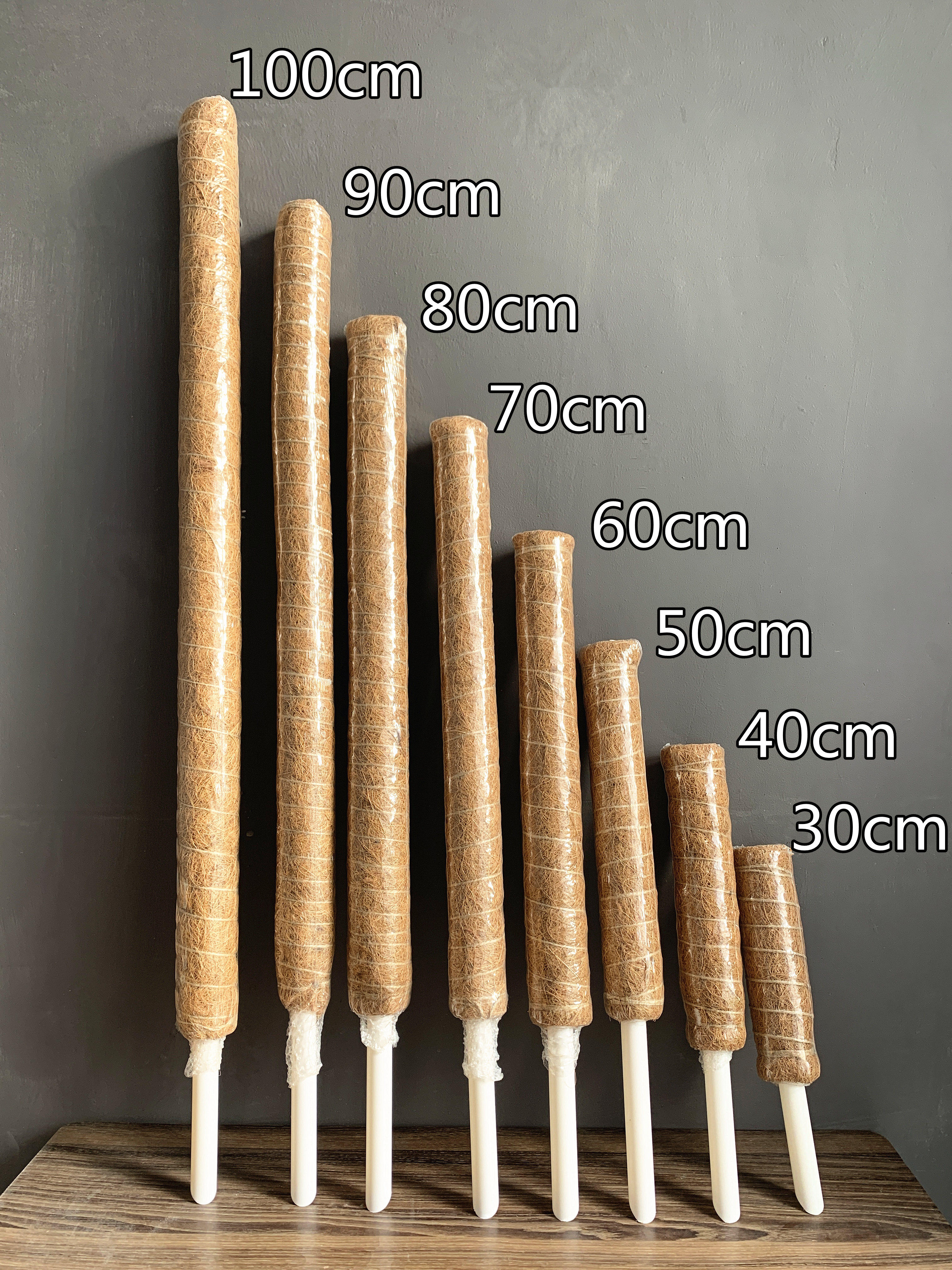 Hot plant climbing vine climbing with fixed support frame brown rod brown plastic pvc rod without mold and stitching