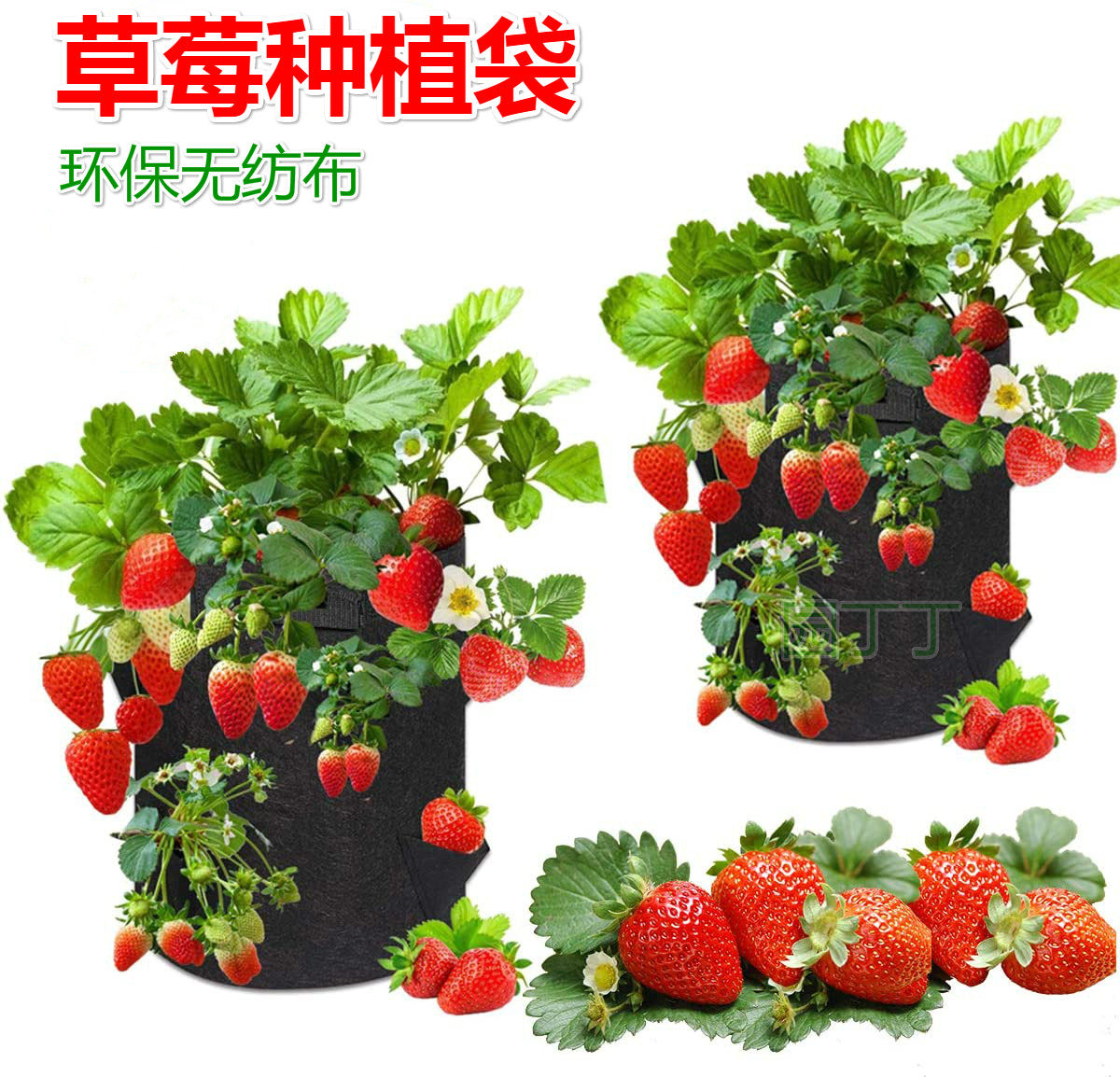 Garden Ding Nonwoven Strawberry Plant Bag Green Plant Bag Bag Creative Flower Pocket Family Balcon Pocket