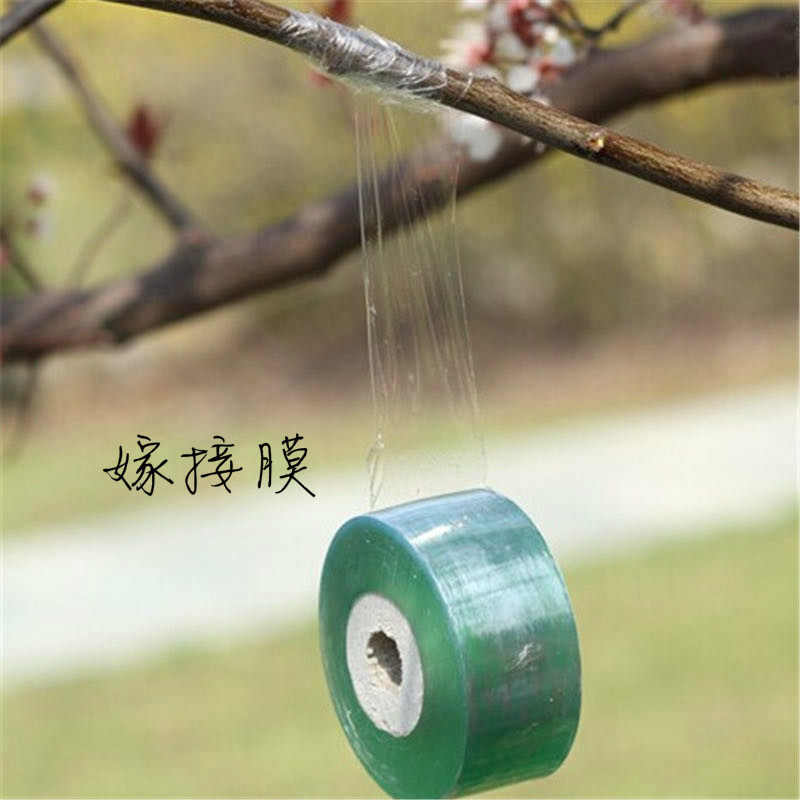Grafting film packaging plastic film grafting strap Self - adhesive transparent wrapped film grafting special film