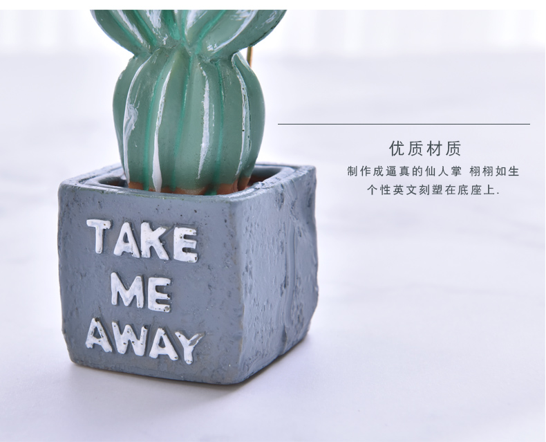 Sáng tạo phim hoạt hình xương rồng thực vật thư mục ảnh máy tính tin nhắn thư mục chủ thẻ kinh doanh bưu thiếp ghi chú clip trang trí dcor shop phụ kiện trang trí nhà đẹp