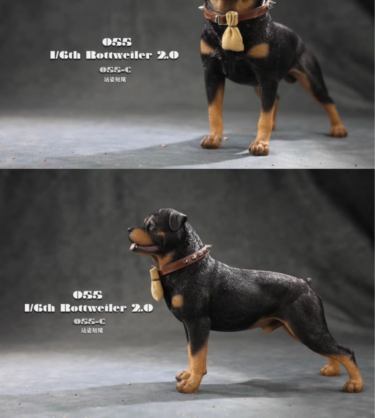 特撮 CollectA Rottweiler Figure 6g7v4d0 CollectA Rottweiler #88189 - Happy with Tongue Sticking Out