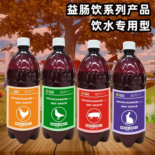 Разведение EM бактерий, регулирующие желудочно -кишечную птицу, пробиотические звери для пробиотических голубей для живой бактериальной свинины, курица, коров