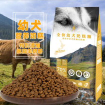 It eats teddy puppies dog food dairies Pregnancy Farage VIP Teddy Bib Bears Bagbrother Golden Hair