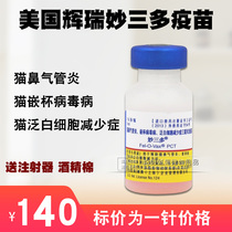 Import Pfizers Wonderful more than three Vaccines Pet Cat Vaccine Juvenile Cat triptych to prevent cat plague nasal support