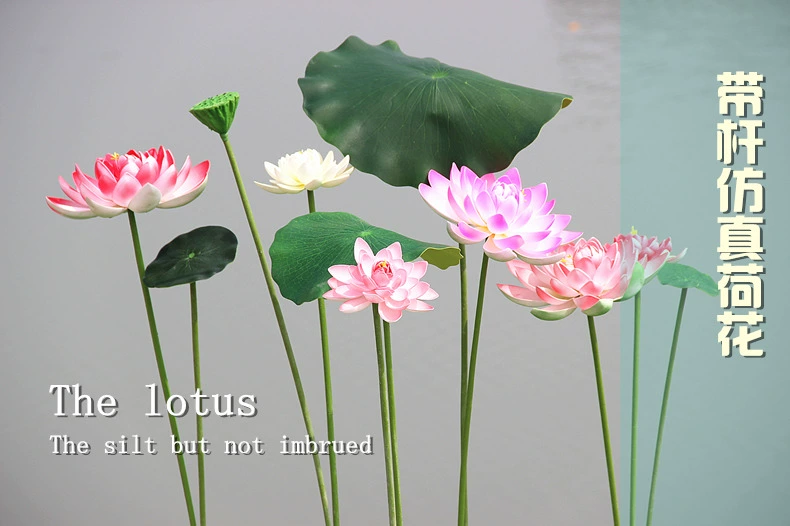 Mô phỏng Lá sen với Hoa giả Màu xanh nước Pond Pond Trang trí sân khấu Vũ điệu Biểu diễn - Hoa nhân tạo / Cây / Trái cây