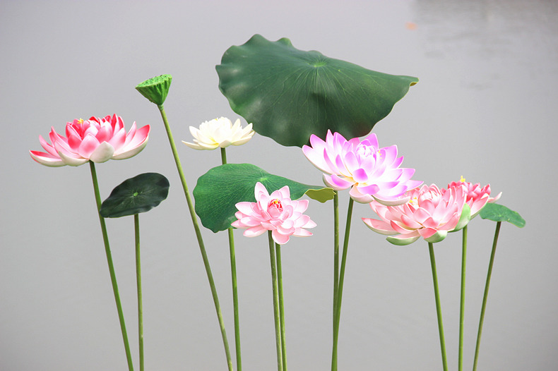 Mô phỏng Lá sen với Hoa giả Màu xanh nước Pond Pond Trang trí sân khấu Vũ điệu Biểu diễn - Hoa nhân tạo / Cây / Trái cây cây xanh giả