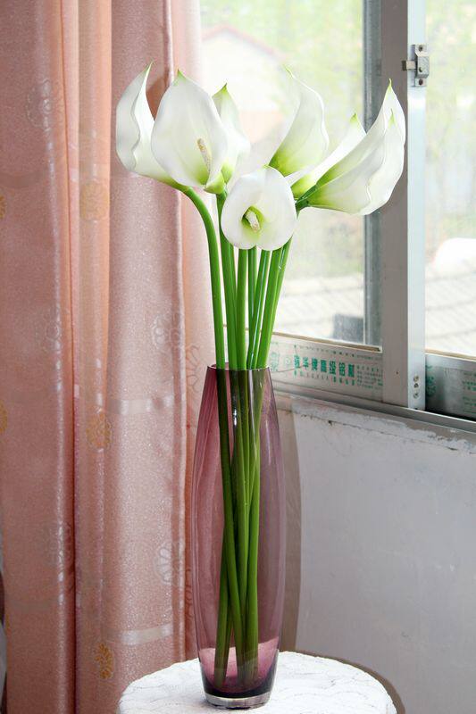 ���ϵ�֦���������滨20140408����