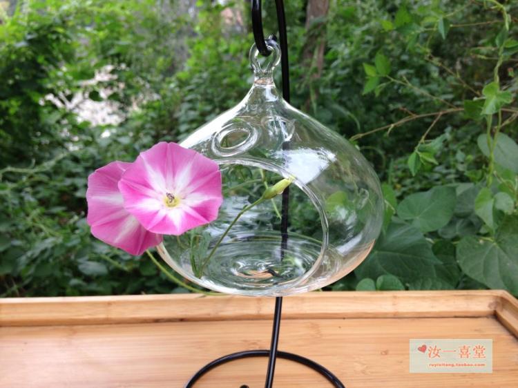 Bình thủy tinh thủy canh đơn giản sáng tạo hiện đại Bình thủy canh treo Cây treo chai đám cưới tiền chức năng trang trí khu vực - Vase / Bồn hoa & Kệ bình gốm cắm hoa