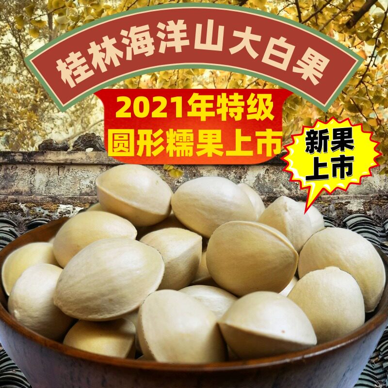 Fresh large white fruit special grade ginkgo biloba fruit 5 kg with shell Guilin Ocean Township old tree raw hundred fruits White nuts are full