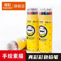 TrueColor Color Pencil Cental на основе масляной картины ведущей начальной школы.