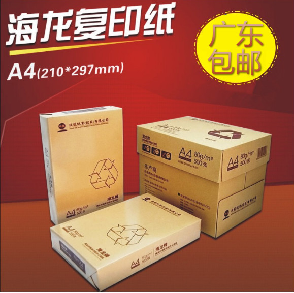 Hailong Nine Dragons 70 grams 80 grams A4 copy paper a4 paper printing paper 500 sheets of bag whole box 5 packs of new green sky chapter rhyme