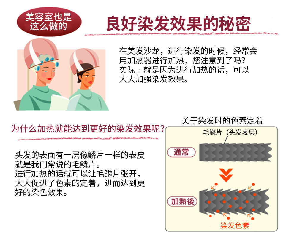 [USD 91.73] Japan Refine dye hair heating hat home with double-layer ...