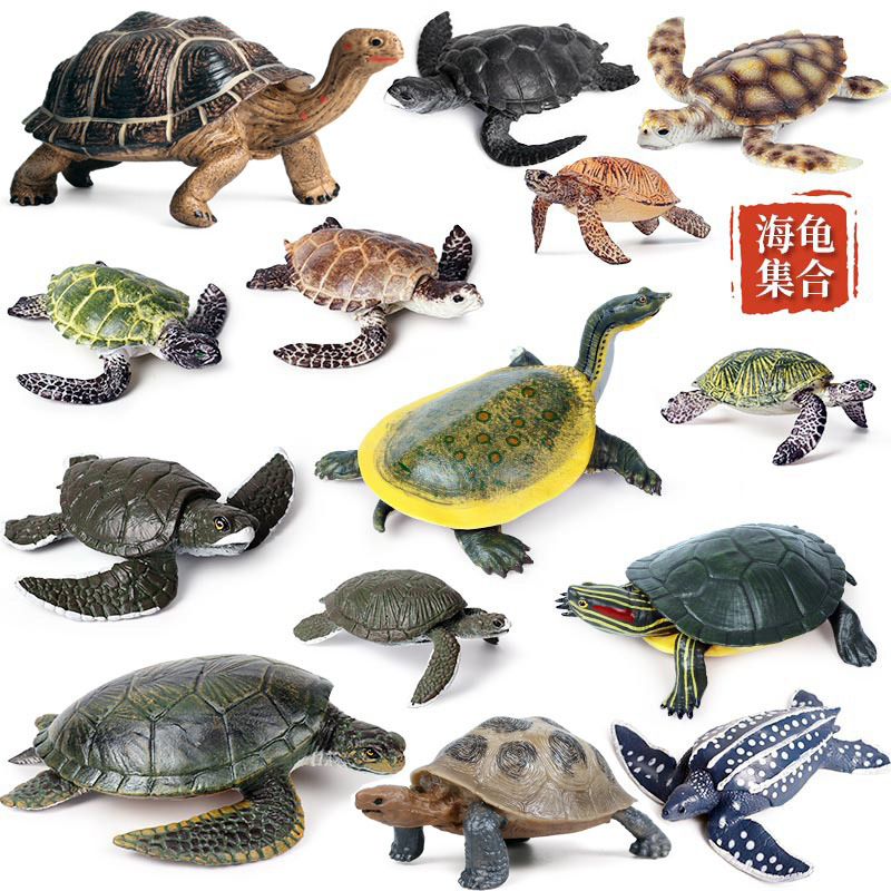 Simulated Turtle Toy, Sea Turtle, Green Turtle, Tortoise, Snapping Turtle, Brazilian Turtle, Soft-Shell Turtle, Alligator Turtle, Marine Life Science and Education Model Simulated Turtle Toy, Sea Turtle, Green Turtle, Tortoise, Snapping Turtle, Brazilian Turtle, Soft-Shell Turtle, Alligator Turtle, Marine Life Science and Education Model