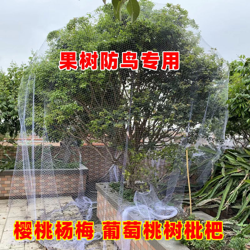 Jiabao Cherry Fruit Tree Anti-Bird Net Nylon Net for Loquat, Peach, and Grape Orchards, Specialized Anti-Bird Netting, Anti-Aging and Durable