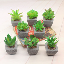 Fleshy simulation plant fake flower potted bonsai mini meat plastic fake flower home ornaments desktop decorations