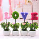 Love simulation plant small potted creative home furnishings living room desk TV cabinet mini decoration fake flower ornaments