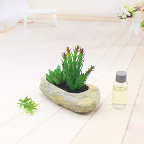 Home decoration simulation plant potted living room display cabinet table window sill decoration bedside table desk decoration fake flower
