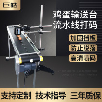 Egg date logo Automatic inkjet printer Adjustable transfer table Small assembly line Online production line coding