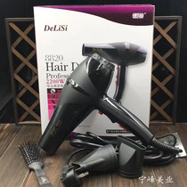 Delis 8820 high power 2200W hair dryer hair salon dedicated cold and heat electric hair dryer (send bone comb)