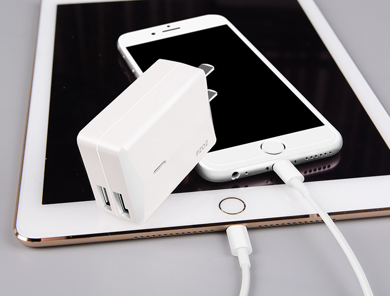 chargeur PZOZ pour téléphones APPLE APPLE IPHONE5S - Ref 1296236 Image 28