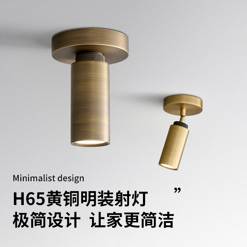 Adjustable Universal Surface-Mounted Downlight Cob Spotlight Nordic Brass Spotlight Led Ceiling Light Living Room Background Wall