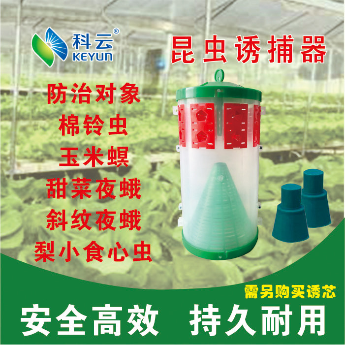 Insect trap trap cotton bollworm corn borer beet armyworm Spodoptera litura pear small heart feeding worm with core trap
