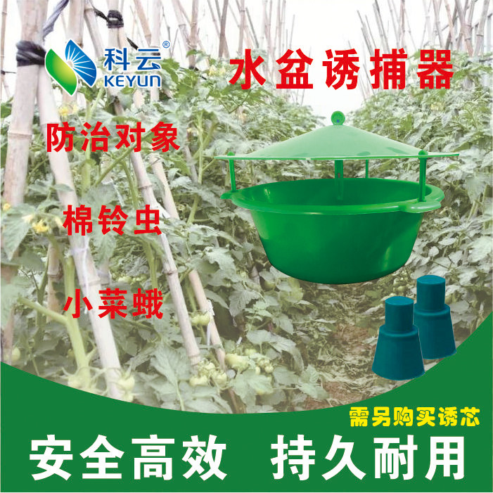 Koyun Water Basin Trap Insect Sex Attractant Special Plastic Products Cotton Bellworm Small Vegetable Moth Information Vegetarian Lume