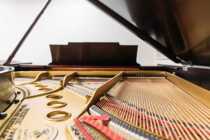 Fujian Local Piano Tuning Piano For Piano Maintenance Fuzhou Piano Tuning Rhythm Fuzhou