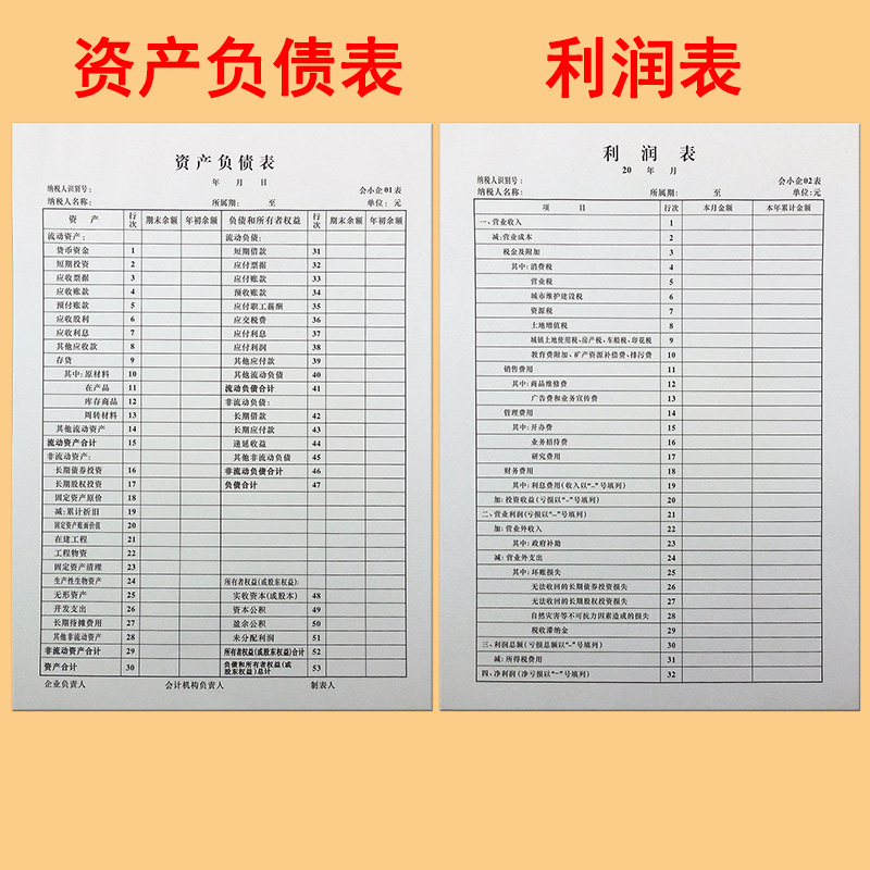 Balance Sheet Profit Form Set of 2 This Cash Flow Statement Financial Accounting Enterprise Monthly Statement A4