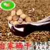 Guizhou Xingyi specialty Zhenfeng serial sand kernels 250g bags of farm-dried brine spices Sand kernels condiment