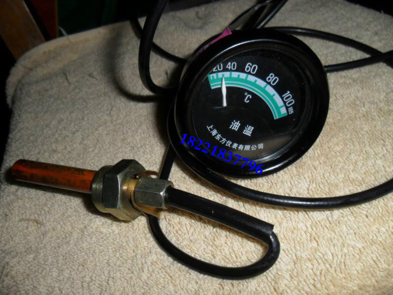 Shanghai Dongfang Instrument Factory WT-102 Temperature Gauge 2 m 4 m 5 m Oil Temperature Gauge WT102 Water Temperature Gauge 0-105 °C