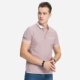 Lạc đà / Lạc đà ngắn tay nam mùa hè Ve áo POLO Áo thêu Kinh doanh Casual Áo thun ngắn tay nam - Áo phông ngắn áo thun nam có cổ
