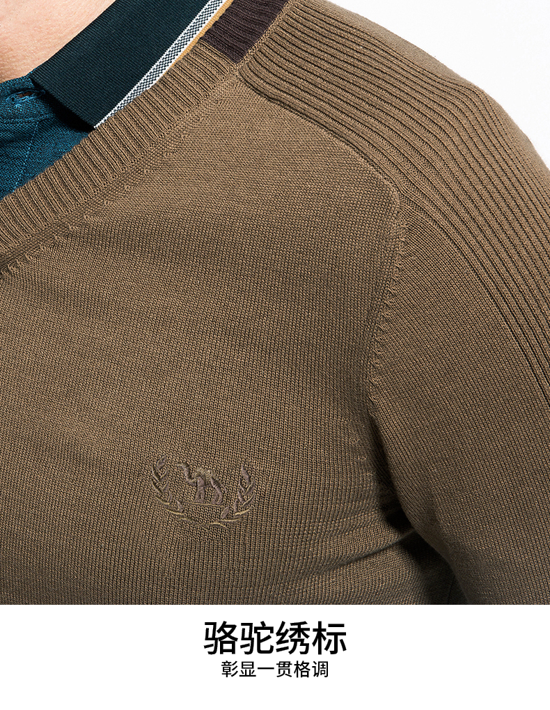 Áo len lông cừu / lạc đà nam V-cổ Cotton Áo len mùa thu Hàn Quốc Slim Men Thanh niên Áo len dài tay - Kéo qua quan ao nam