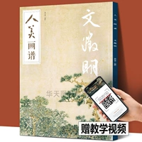 Книга по рисованию красоты человека - Вэнь Чжэн и Чжэн Мин