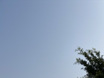 Receive 3 yuan of happy text for exclusive promotion