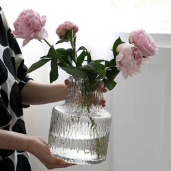 European-Style Glacier Pattern ins Wind Transparent Glass Vase Hydroponic Lily Rose Dried Flowers Fresh Flowers Water-Cultured Desktop Decoration