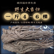 Minxian whole root whole angelica 500g wild premium Angelica Chinese herbal medicine sweet party return water tea tablets