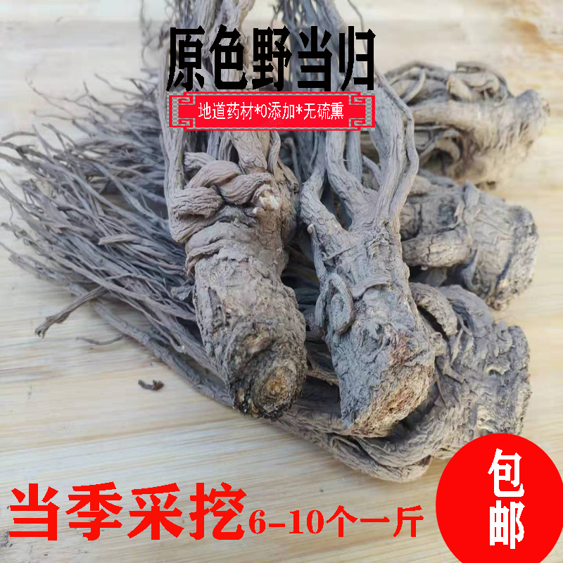Gansu Province Minxian Yeshan Pure Wild Angelica 500g Premium Sulfur-Free Smoked Soil Wild Whole Root Angelica