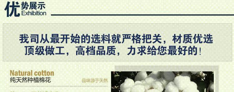 Vêtement de travail en coton - Ref 1912744 Image 42