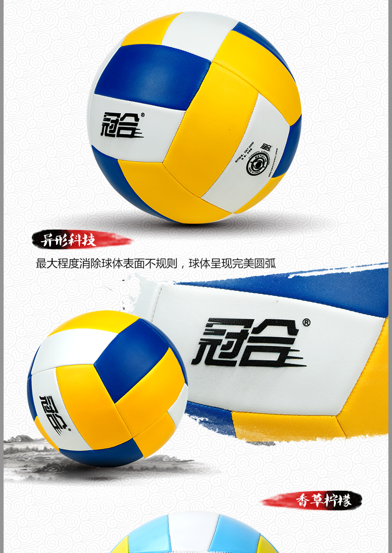 Ballon de volley - Ref 2012192 Image 31