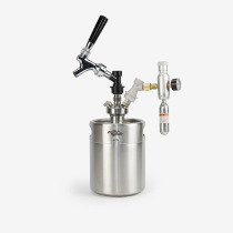 Stainless steel two-hair mini keg beer barrel winemaker growler craft beer container drinking system